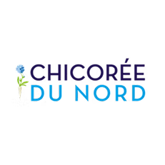 Chicorée